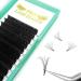 Easy Fan Lashes DD-0.05-10 mm | C D Curl Self Fanning Russian Lashes - Buy Online on GoSupps.com