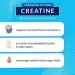 BodyTeach Creatine & Glutamine with Beta Alanine Fruit Punch - Muscle Growth & Recovery Support (12.6 oz) - Buy Online on GoSupps.com