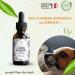 Floral Elixir Blend for Stressed Dogs - Quickly Comfort Your Dog. This Blend is a Natural Anti-Stress for His Daily Life (30ML) Pack of 2 - Buy Online on GoSupps.com