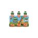 TEISSEIRE - Fruit Shoot Tropical 6X20Cl - (Unit)