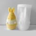 Easter Silicone Gnome Mold Cute Aromatherapy Candle & DIY Soap Making Set - Buy Online on GoSupps.com