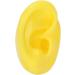 Silicone Teaching Ear Model for Kids (Right Ear) - Educational Ear Display Model - Buy Online on GoSupps.com