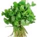 Fresh Vallarai Leaves Bunch | Single Bunch | Vallarai Keerai | Gotu Kola | Green leafy | Healthy | Used Cooking for Juice & Soup etc.. | Approx 350 to 400| Next Day shipping By SeelansG - Buy Online on GoSupps.com