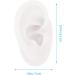 High-Quality Silicone Ear Mold for Piercing Practice - Realistic Fake Ear Model | International Shipping Available - Buy Online on GoSupps.com