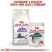 Royal Canin Instinctive Adult 7+ In Gravy Adult Wet Cat Food 85g (Pack of 48) - Buy Online on GoSupps.com