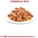 Royal Canin Kitten in Jelly Wet Cat Pouches 85g (Pack of 12) - Buy Online on GoSupps.com