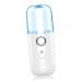 Healeved Nano Water Replenishing Instrument Water Replenishment Instrument Handheld Beauty Instrument Portable Humidifier Face Humidifier USB Charged Humidifier