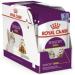 Royal Canin Sensory Smell in Jelly Wet Cat Food 85g (Pack of 24) - Buy Online on GoSupps.com