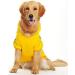Ducomi Cotton Hood Dogs Sweatshirt | XS Monochrome Dog Sweater | Warm Clothes for All Breeds & Sizes | Shop Internationally - Yellow - Buy Online on GoSupps.com