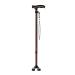 Lightweight Walking Stick for Men & Women Adjustable & Durable for Portable Travel Balancing Mobility Aid Sleek Ergonomic & Comfortable Hand