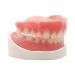 DIY Denture Fake Teeth Set - Top and Bottom Temporary Teeth for Instantly Improving Your Smile - Buy Online on GoSupps.com