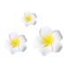 hgnxa Realistic Plumeria Flower Hairpin Elegant Wedding Hairclip Sweet Duckbill Clip Side Pin Nonslip Barrettes for Hair Shape