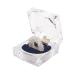 Chi -Enterprise - Premium massage ring for the finger |Anti -stress ring |Acupressure Ring - Anxiety Ring |Contents: 1x anti -stress ring (silver/large) with box 1x ring in box (silver large) silver