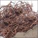 Pippali Mool Pippalimool Pippalimul Piper Longum Long Pepper Root Raw Herb Modi 250g Bulk Pack - Buy Online on GoSupps.com