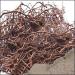 Pippali Mool Pippalimool Pippalimul Piper Longum Long Pepper Root Raw Herb Modi 250g Bulk Pack