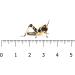 Livefoods4u Medium Locust Live Food (12-20mm) Bag of 100 - Perfect for Reptiles and Lizards - Sustainably bred - Buy Online on GoSupps.com
