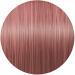 Colour Freedom Metallic Glory Copper Blush - Vibrant Hair Color for International Shipping - Buy Online on GoSupps.com