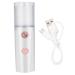 Face Mist Steamer 27ml Facial Handy Sprayer Hydrating Mister USB Rechargeable for Skin Care White