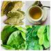 JAGGY Organic Soursop Leaves (400 Leaves) Dried Whole Natural Guanabana Graviola Guyabano Leaves - Buy Online on GoSupps.com