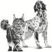 Royal Canin Veterinary Recovery | 12 x 195g | Complete Dietary Food for Adult Dogs and Cats | Ultra Soft High Protein Foam - Buy Online on GoSupps.com