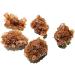 1pc Natural Crystal Quartz Rock Raw Rock Aragonite Specimen Stone - Buy Online on GoSupps.com