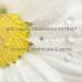 Kerstin Florian Chamomile Shower and Bath Gel - Aromatherapy Body Wash 32 oz - Pack of 1 - Buy Online on GoSupps.com