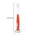 TOYANDONA Kids Toothbrush Set | Children's Manual Toothbrush for 3-6 Years Old | Teeth Cleaning Brush | Oral Care | Baby Training Toothbrush | Mixed Colors | 4Pcs | 12.6X2CM - Buy Online on GoSupps.com