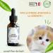 Bach Flower Advice - Bach Flowers Stressed Cat without Alcohol - A Blend That Will Help Your Cat Calm Down (30 ML) Pack of 2 - Buy Online on GoSupps.com