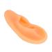 Professional Right Ear Display Mould for Hearing Aid Earrings - Silicone Simulation Model - Buy Online on GoSupps.com