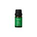 Greenkanto Focus Essential Oil Blend 100% Pure & Natural. Rosemary Peppermint & Lemon Natural for Clarity & Energy - 10 ml