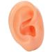 Silicone Right Ear Model Simulation Artificial Ear Display Model for Hearing Aids Flexible Soft Silicone Imitation Real Ear Suitable for Shop Window Display