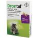 Drontal Dog Tasty Bone 150/144/50 mg Tablets (24 pack) - Buy Online on GoSupps.com