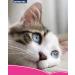 Anco Paw and Fishbone Printing Cat Place Mat in Pink - Durable and Stylish - Buy Online on GoSupps.com