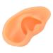 Professional Soft Silicone Right Ear Display - Ideal for Earrings Simulation - Buy Online on GoSupps.com