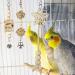 CAMITER 8 Packs Bird Toys Parrots Cage Toys Natural Wood Hanging Swing Shredding Chewing Perches Parrot Toy Parrot Bite Toy for Budgie Parakeet Cockatiel Macaw - Buy Online on GoSupps.com