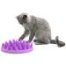 The Company of Animals CATCH Interactive Feeder - Purple | Buy Online - Buy Online on GoSupps.com