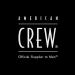 American Crew Daily Moisturizing Shampoo & Conditioner Set 250 ml + Pomade 85 g - International Shipping Available - Buy Online on GoSupps.com