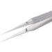 Jojomi Surgical Tweezers - Precision Hair Tweezers for Splinter Removal | Non-Magnetic Stainless Steel Straight Head - Buy Online on GoSupps.com