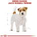 Royal Canin Dog Food Jack Russell Complete 3Kg Poultry 3 kg (Pack of 1) - Buy Online on GoSupps.com