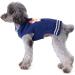 ABRRLO Christmas Dog Sweater - Warm & Cozy Pet Sweater for Small & Medium Dogs (XS Fox) - Buy Online on GoSupps.com