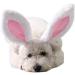 Golden Apple 2 Pcs Christmas Pet Headband Fluffty Bunny Ears Headband Easter Party Puppy Headwear Supplies for Cat Dog (S) - Buy Online on GoSupps.com