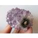 Uruguay Natural Amethyst Flower Quartz Crystal GEODE Cluster 144g JZIGTDEM - Buy Online on GoSupps.com