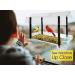FGXY Window Bird Feeder, Birds House Balcony for Outdoor with Strong Suction Cups Drinking Water Sink Bird Watching Clear Bird Feeder for Window for Wild Bird Small Bird - Buy Online on GoSupps.com