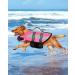 Petbank Life Jacket for Dogs - Adjustable Swimming Vest with Reflector Stripes - Buoyant Dog Protection Suit for Small Medium & Large Dogs - XL Pink - Buy Online on GoSupps.com