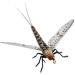 Synthfly Lifelike Mayfly Pack - Gray & Brown Drake in Sizes 10 12 14, Danica in Sizes 10 12 - Fly Fishing Essential Set of 8 Mayflies - Buy Online on GoSupps.com