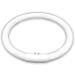 T5 22W Circular Bulb Replacement for Zadro 7-in Surround Light by Technical Precision Replacement Bulb for Lighted Mirror / Makeup Mirror - G10Q-4 4-Pin Base - 6500K Cool Daylight - 12000 Hours - Buy Online on GoSupps.com