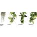 Exo Terra Artificial Plant for Reptile Terrarium Decoration - Natural Look & Easy Care - Buy Online on GoSupps.com