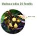 Madhuca Indica Oil (Mahua) 100% Natural & Pure Undiluted Carrier Oil - for Aromatherapy Therapeutic Grade - 100 ML Madhuca Indica 100 ml (Pack of 1) - Buy Online on GoSupps.com