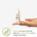 Potions Peptide Ampoule for Face - Collagen Support & Elasticity | Korean Skincare | Cruelty-Free & Hypoallergenic - 50ml - Buy Online on GoSupps.com