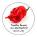 Buy Scovillas Carolina Reaper Chili Flakes - 25g Shaker | International Shipping Available - Buy Online on GoSupps.com